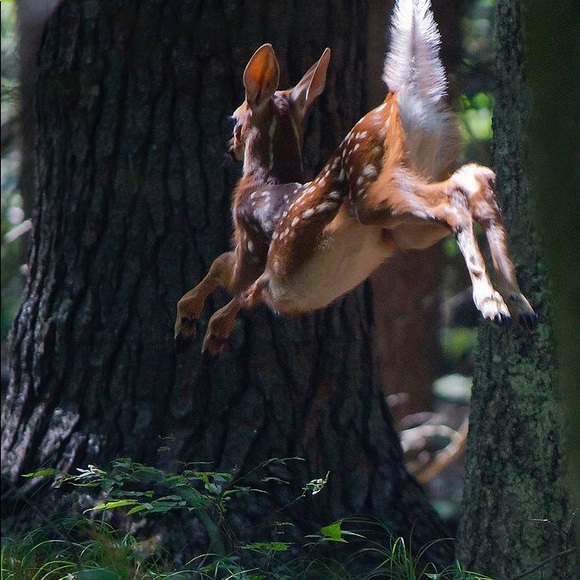 Meet your Posher, Christiana - Picture 9 of 16